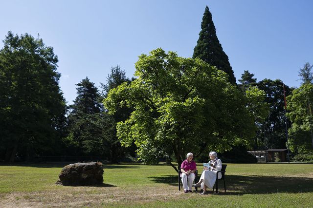 Burgerspittel im Viererfeld Park