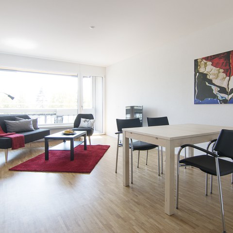 2-Zimmer-Wohnung. Vergrösserte Ansicht